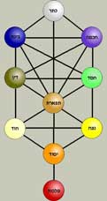 Image of diagram of the Tree of Life